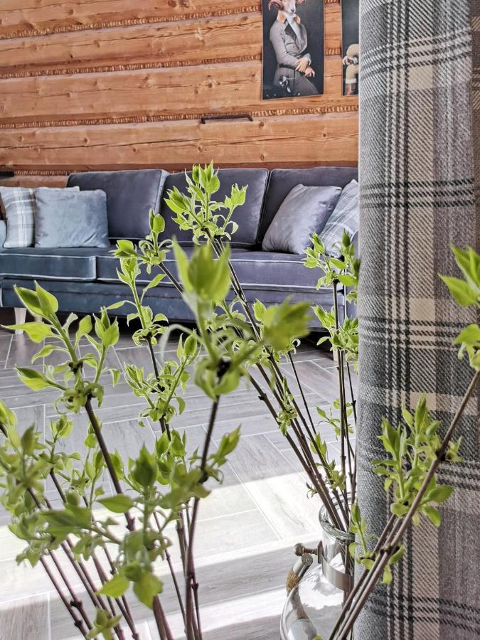 Siedlisko Koscielisko Apartment Екстериор снимка
