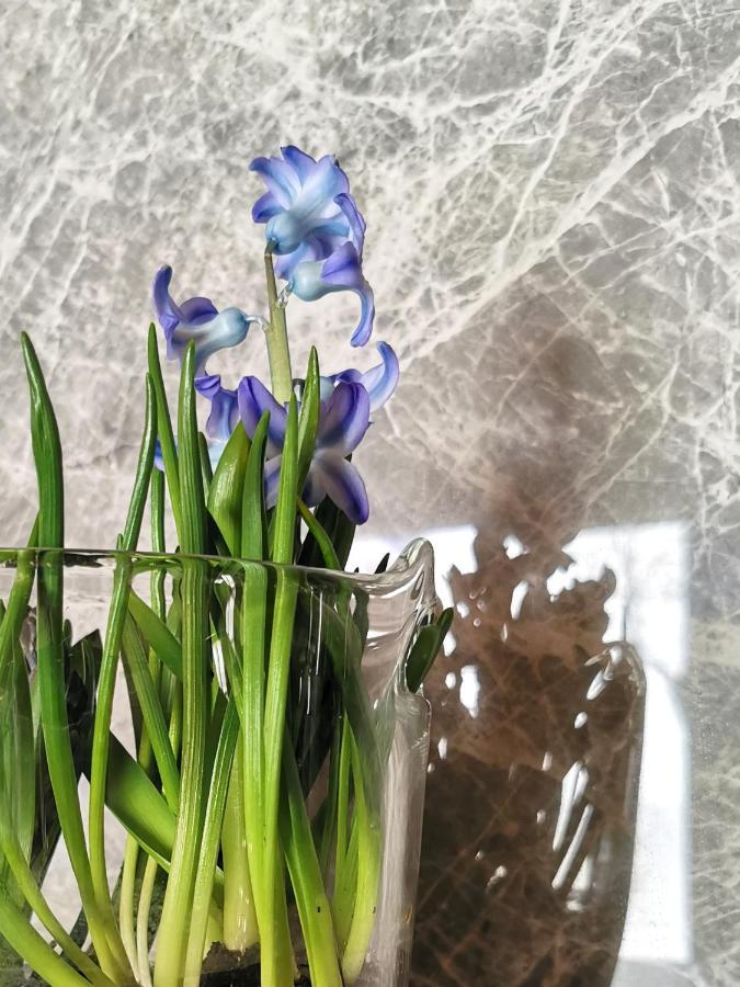 Siedlisko Koscielisko Apartment Екстериор снимка